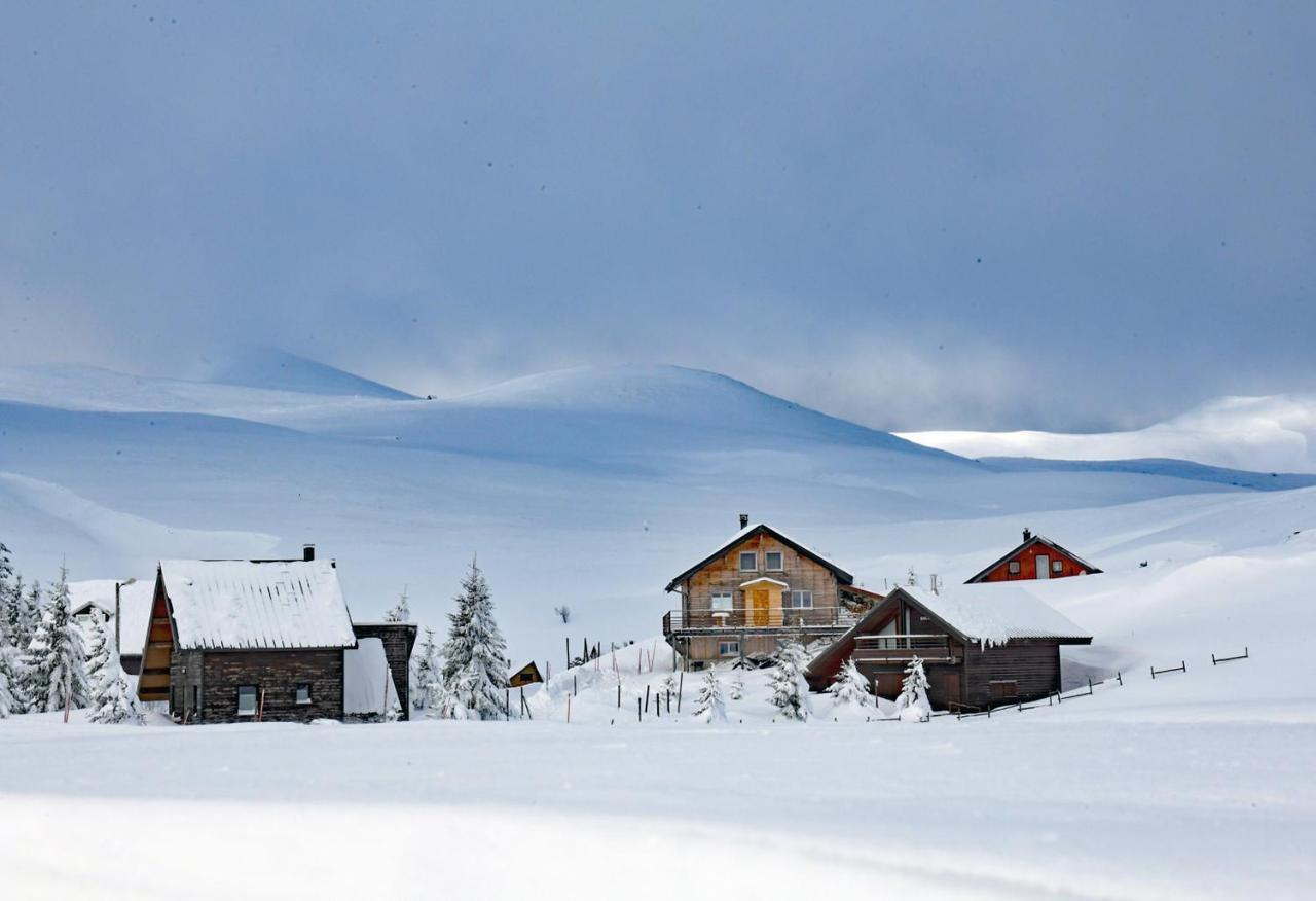 Chambres D'Hotes & Studio L'Hosting Noix Hostun Экстерьер фото